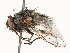  ( - CBG-A53657-C11)  @11 [ ] CreativeCommons - Attribution Share - Alike (2024) CBG Photography Group Centre for Biodiversity Genomics