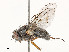  ( - CBG-A53657-D08)  @11 [ ] CreativeCommons - Attribution Share - Alike (2024) CBG Photography Group Centre for Biodiversity Genomics