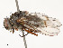  ( - CBG-A53657-D11)  @11 [ ] CreativeCommons - Attribution Share - Alike (2024) CBG Photography Group Centre for Biodiversity Genomics