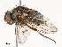  ( - CBG-A53657-H02)  @11 [ ] CreativeCommons - Attribution Share - Alike (2024) CBG Photography Group Centre for Biodiversity Genomics