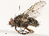  ( - CBG-A53657-H07)  @11 [ ] CreativeCommons - Attribution Share - Alike (2024) CBG Photography Group Centre for Biodiversity Genomics