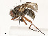  ( - CBG-A53657-H08)  @11 [ ] CreativeCommons - Attribution Share - Alike (2024) CBG Photography Group Centre for Biodiversity Genomics