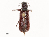  ( - CBG-A53658-D01)  @11 [ ] CreativeCommons - Attribution Share - Alike (2024) CBG Photography Group Centre for Biodiversity Genomics