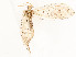  ( - CBG-A53659-C08)  @11 [ ] CreativeCommons - Attribution Share - Alike (2024) CBG Photography Group Centre for Biodiversity Genomics