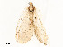  ( - CBG-A53659-C09)  @11 [ ] CreativeCommons - Attribution Share - Alike (2024) CBG Photography Group Centre for Biodiversity Genomics