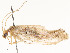  ( - CBG-A53659-D05)  @11 [ ] CreativeCommons - Attribution Share - Alike (2024) CBG Photography Group Centre for Biodiversity Genomics