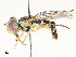  ( - CBG-A53659-G06)  @11 [ ] CreativeCommons - Attribution Share - Alike (2024) CBG Photography Group Centre for Biodiversity Genomics