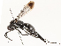  ( - CBG-A53671-D07)  @11 [ ] CreativeCommons - Attribution Share - Alike (2024) CBG Photography Group Centre for Biodiversity Genomics
