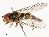  ( - CBG-A53672-H09)  @11 [ ] CreativeCommons - Attribution Share - Alike (2024) CBG Photography Group Centre for Biodiversity Genomics