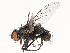  ( - CBG-A54457-H02)  @11 [ ] CreativeCommons - Attribution Share - Alike (2024) CBG Photography Group Centre for Biodiversity Genomics