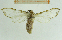  ( - IOZ_LEP_M_2808)  @13 [ ] CreativeCommons - Attribution Non-Commercial Share-Alike (2012) Chen Fuqiang Institute of Zoology, Chinese Academy of Sciences