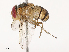  ( - CBG-B21726-B10)  @11 [ ] CreativeCommons - Attribution Share - Alike (2025) CBG Photography Group Centre for Biodiversity Genomics