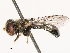  ( - CBG-B21726-B11)  @11 [ ] CreativeCommons - Attribution Share - Alike (2025) CBG Photography Group Centre for Biodiversity Genomics