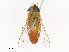  ( - CBG-B21730-B02)  @11 [ ] CreativeCommons - Attribution Share - Alike (2025) CBG Photography Group Centre for Biodiversity Genomics