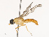  ( - CBG-B21730-B04)  @11 [ ] CreativeCommons - Attribution Share - Alike (2025) CBG Photography Group Centre for Biodiversity Genomics