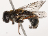  ( - CBG-B21792-A07)  @11 [ ] CreativeCommons - Attribution Share - Alike (2025) CBG Photography Group Centre for Biodiversity Genomics