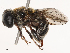  ( - CBG-B21792-F05)  @11 [ ] CreativeCommons - Attribution Share - Alike (2025) CBG Photography Group Centre for Biodiversity Genomics