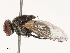 ( - CBG-B21795-B11)  @11 [ ] CreativeCommons - Attribution Share - Alike (2025) CBG Photography Group Centre for Biodiversity Genomics