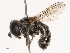  ( - CBG-B21795-F02)  @11 [ ] CreativeCommons - Attribution Share - Alike (2025) CBG Photography Group Centre for Biodiversity Genomics