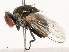  ( - CBG-B21795-F11)  @11 [ ] CreativeCommons - Attribution Share - Alike (2025) CBG Photography Group Centre for Biodiversity Genomics