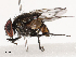  ( - CBG-B21795-G01)  @11 [ ] CreativeCommons - Attribution Share - Alike (2025) CBG Photography Group Centre for Biodiversity Genomics