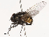  ( - CBG-B21795-G02)  @11 [ ] CreativeCommons - Attribution Share - Alike (2025) CBG Photography Group Centre for Biodiversity Genomics
