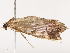  ( - CBG-B21787-A07)  @11 [ ] CreativeCommons - Attribution Share - Alike (2025) CBG Photography Group Centre for Biodiversity Genomics