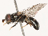  ( - CBG-B21798-E09)  @11 [ ] CreativeCommons - Attribution Share - Alike (2025) CBG Photography Group Centre for Biodiversity Genomics