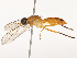  ( - CBG-B21798-E12)  @11 [ ] CreativeCommons - Attribution Share - Alike (2025) CBG Photography Group Centre for Biodiversity Genomics