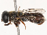  ( - CBG-B21802-E06)  @11 [ ] CreativeCommons - Attribution Share - Alike (2025) CBG Photography Group Centre for Biodiversity Genomics