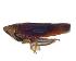  ( - JPT30A)  @14 [ ] Unspecified (default): All Rights Reserved  Unspecified Unspecified
