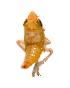  ( - JPT40A)  @11 [ ] Unspecified (default): All Rights Reserved  Unspecified Unspecified