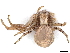  ( - CBG-A05402-H11)  @11 [ ] CreativeCommons - Attribution (2023) CBG Photography Group Centre for Biodiversity Genomics