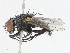  ( - CBG-A05403-F01)  @11 [ ] CreativeCommons - Attribution (2023) CBG Photography Group Centre for Biodiversity Genomics