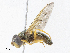  ( - CBG-A05405-D12)  @11 [ ] CreativeCommons - Attribution (2023) CBG Photography Group Centre for Biodiversity Genomics