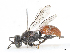  ( - CBG-A05405-H03)  @11 [ ] CreativeCommons - Attribution (2023) CBG Photography Group Centre for Biodiversity Genomics