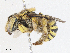  ( - CBG-A06201-C02)  @11 [ ] CreativeCommons - Attribution (2023) CBG Photography Group Centre for Biodiversity Genomics
