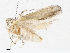  ( - CBG-A06203-B08)  @11 [ ] CreativeCommons - Attribution (2023) CBG Photography Group Centre for Biodiversity Genomics