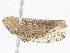  ( - CBG-A06231-B01)  @11 [ ] CreativeCommons - Attribution Share-Alike (2023) CBG Photography Group Centre for Biodiversity Genomics