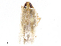  ( - CBG-A06279-H02)  @11 [ ] CreativeCommons - Attribution (2023) CBG Photography Group Centre for Biodiversity Genomics
