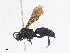  ( - CBG-A06280-E03)  @11 [ ] CreativeCommons - Attribution Share-Alike (2023) CBG Photography Group Centre for Biodiversity Genomics