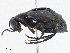  ( - CBG-A07073-D01)  @11 [ ] CreativeCommons - Attribution (2023) CBG Photography Group Centre for Biodiversity Genomics