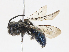  ( - CBG-A10764-D07)  @11 [ ] CreativeCommons - Attribution Share - Alike (2023) CBG Photography Group Centre for Biodiversity Genomics
