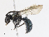  ( - CBG-A10764-E02)  @11 [ ] CreativeCommons - Attribution Share - Alike (2023) CBG Photography Group Centre for Biodiversity Genomics