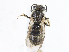  ( - CBG-A10785-H04)  @11 [ ] CreativeCommons - Attribution Share - Alike (2023) CBG Photography Group Centre for Biodiversity Genomics