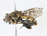  ( - CBG-A10787-B09)  @11 [ ] CreativeCommons - Attribution Share - Alike (2023) CBG Photography Group Centre for Biodiversity Genomics