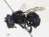  ( - CBG-A10787-D10)  @11 [ ] CreativeCommons - Attribution Share - Alike (2023) CBG Photography Group Centre for Biodiversity Genomics