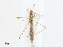  ( - CBG-A10788-C01)  @11 [ ] CreativeCommons - Attribution Share - Alike (2023) CBG Photography Group Centre for Biodiversity Genomics