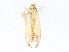 ( - CBG-A13269-C07)  @11 [ ] CreativeCommons - Attribution Share - Alike (2023) CBG Photography Group Centre for Biodiversity Genomics