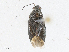  ( - CBG-A13293-D01)  @11 [ ] CreativeCommons - Attribution Share - Alike (2023) CBG Photography Group Centre for Biodiversity Genomics